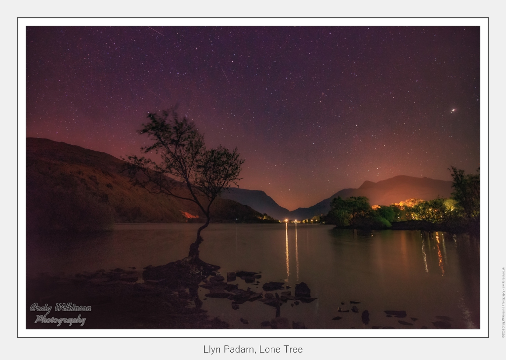 Lone Tree Llanberis