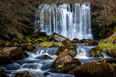 Scale Haw Force