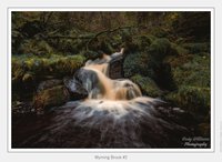 Wyming Brook #2