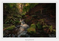 Fairy Glen Gorge