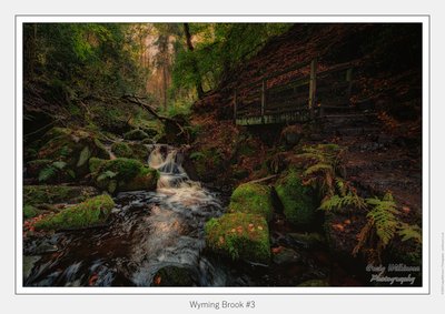 Fairy Glen Gorge