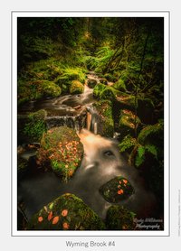 Fairy Glen Gorge