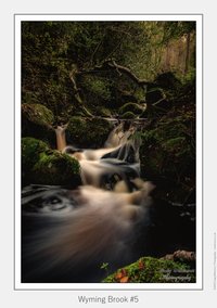 Wyming Brook #5
