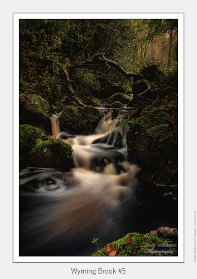 Fairy Glen Gorge