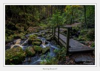 Wyming Brook #7