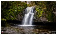 Cauldon Falls, West Burton