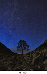Sycamore Gap