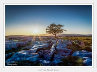 Lone Tree, Winskill Stones