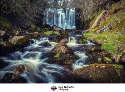 Scale Haw Force
