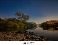 Scale Haw Force