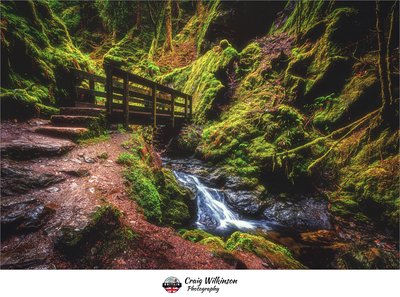 Puck's Glen