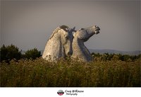 The Kelpies