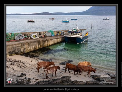 Locals on the Beech, Elgol Harbour