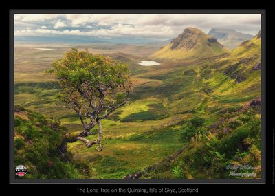 The Lone Tree on the Quiraing
