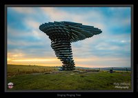 Singing Ringing Tree