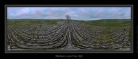 Malham Lone Tree 360